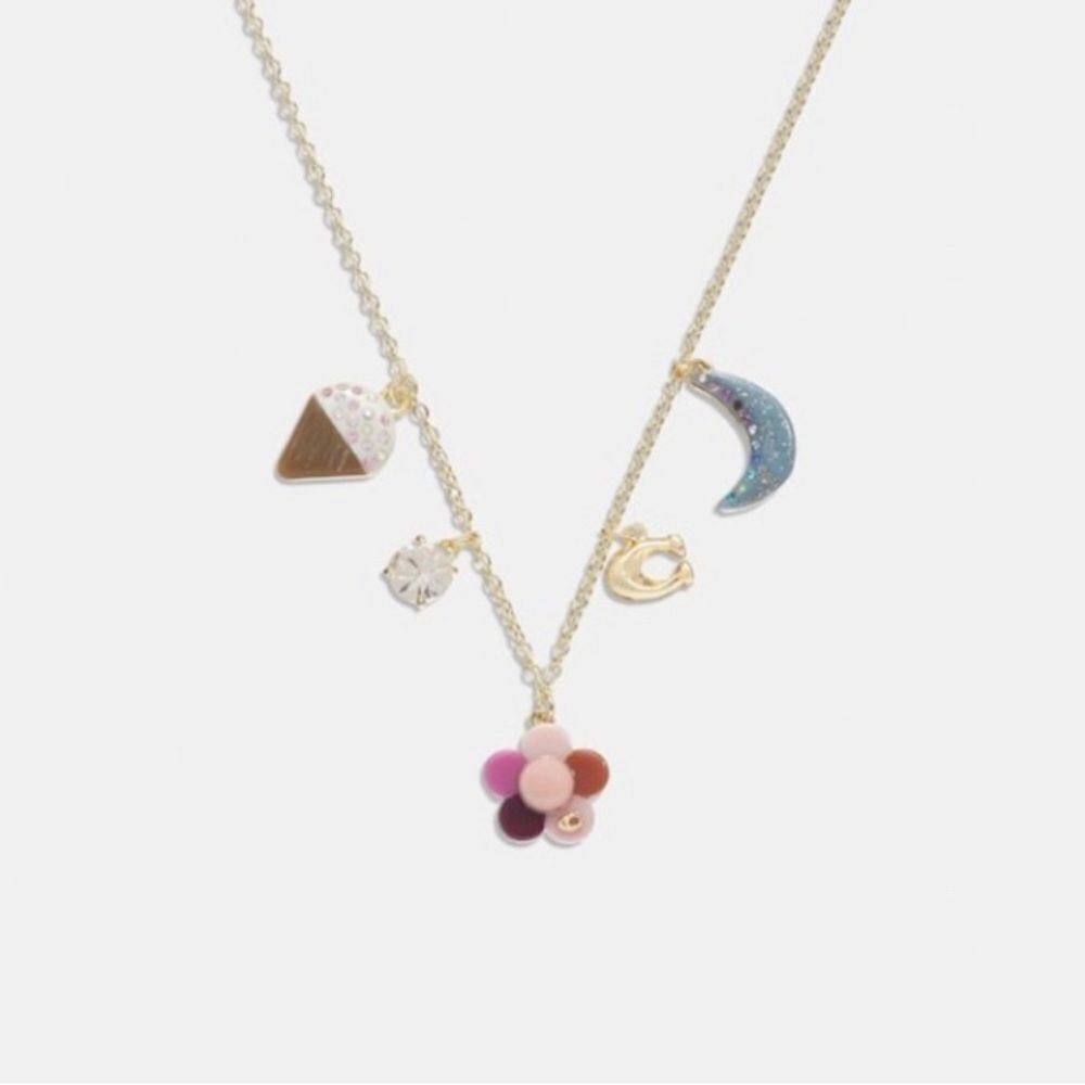 NEW COACH CHARM NECKLACE